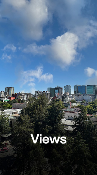 Views Live Platón
